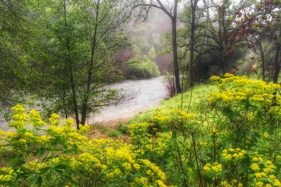 California River